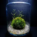 DSCF7611.webp