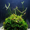 DSCF7616.webp