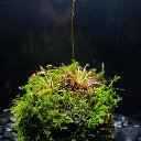 DSCF7722.webp