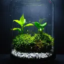 DSCF7307.webp