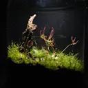DSCF0983.webp