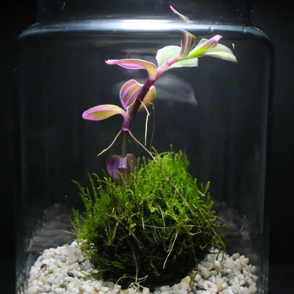 DSCF1157.webp