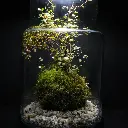 DSCF1188.webp