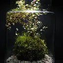 DSCF1190.webp