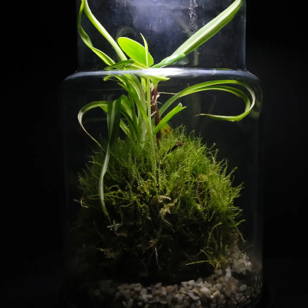 DSCF1263.webp