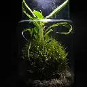 DSCF1263.webp