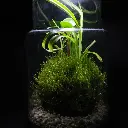 DSCF1261.webp