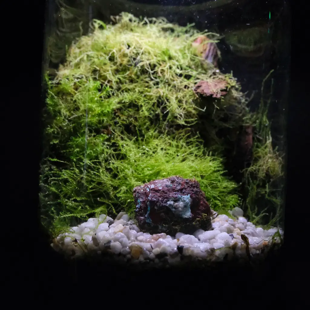 DSCF0924.webp