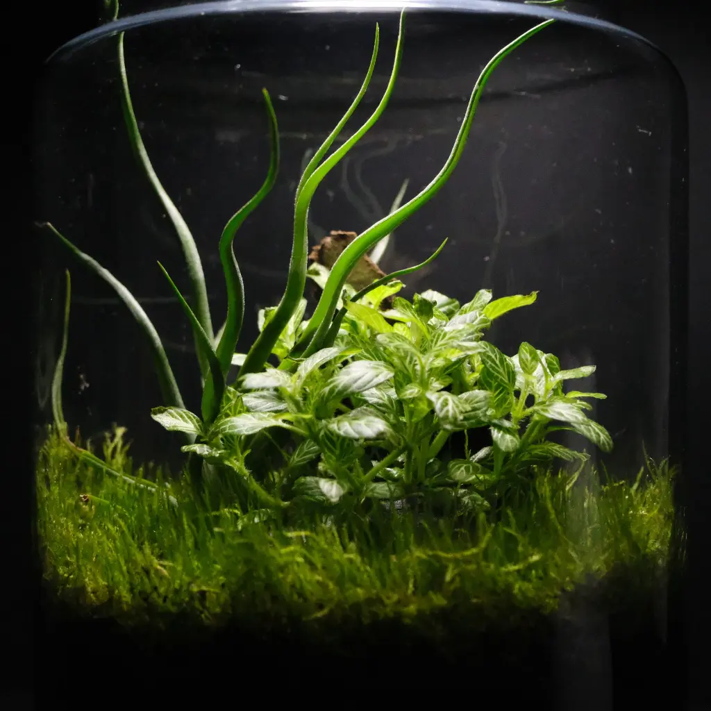 DSCF1066.webp