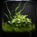 DSCF1066.webp