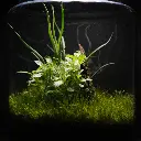 DSCF1063.webp