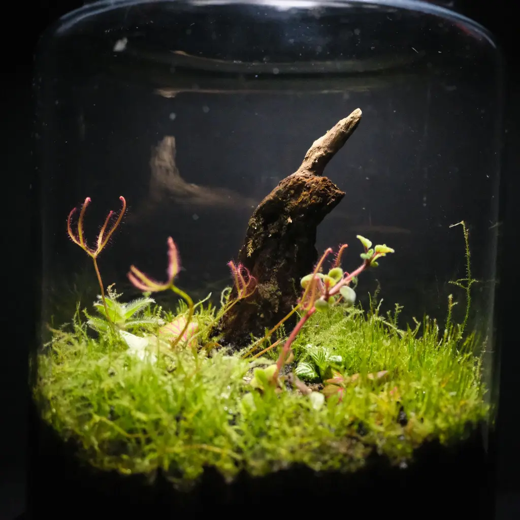 DSCF0969.webp