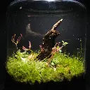DSCF0969.webp