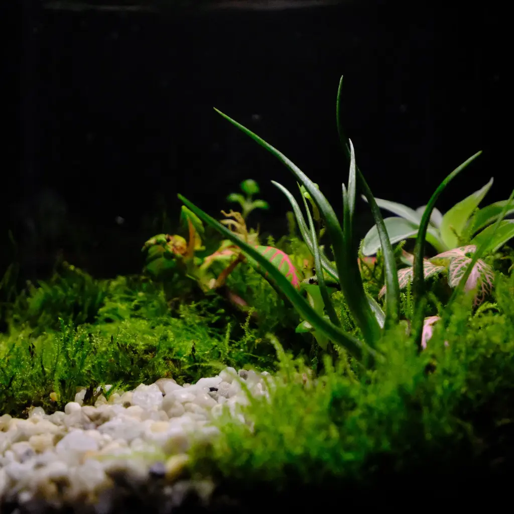 DSCF0842.webp