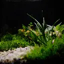 DSCF0842.webp
