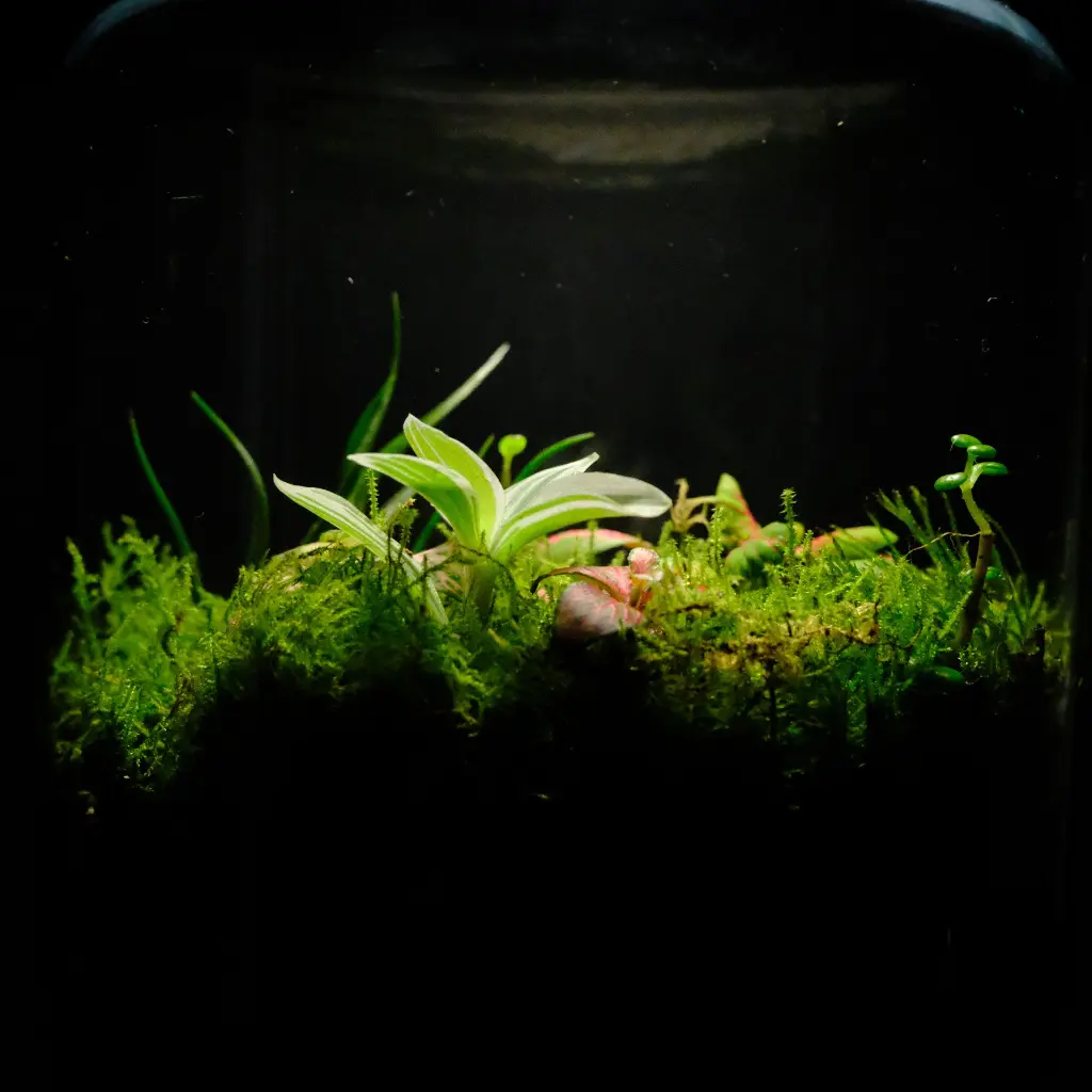 DSCF0834.webp