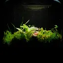 DSCF0834.webp