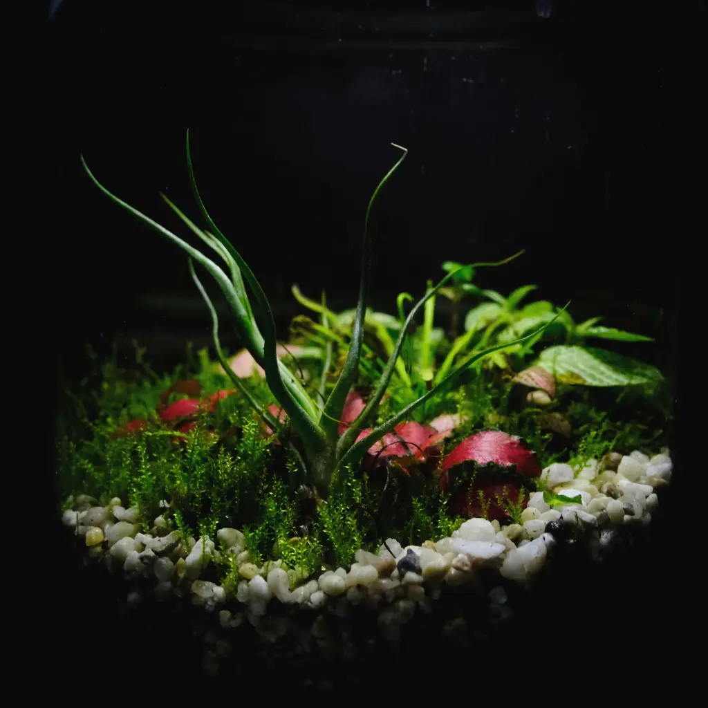DSCF0722.webp