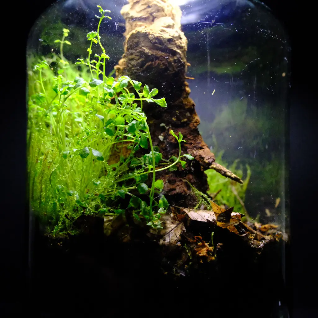 DSCF0755.webp