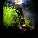 DSCF0755.webp