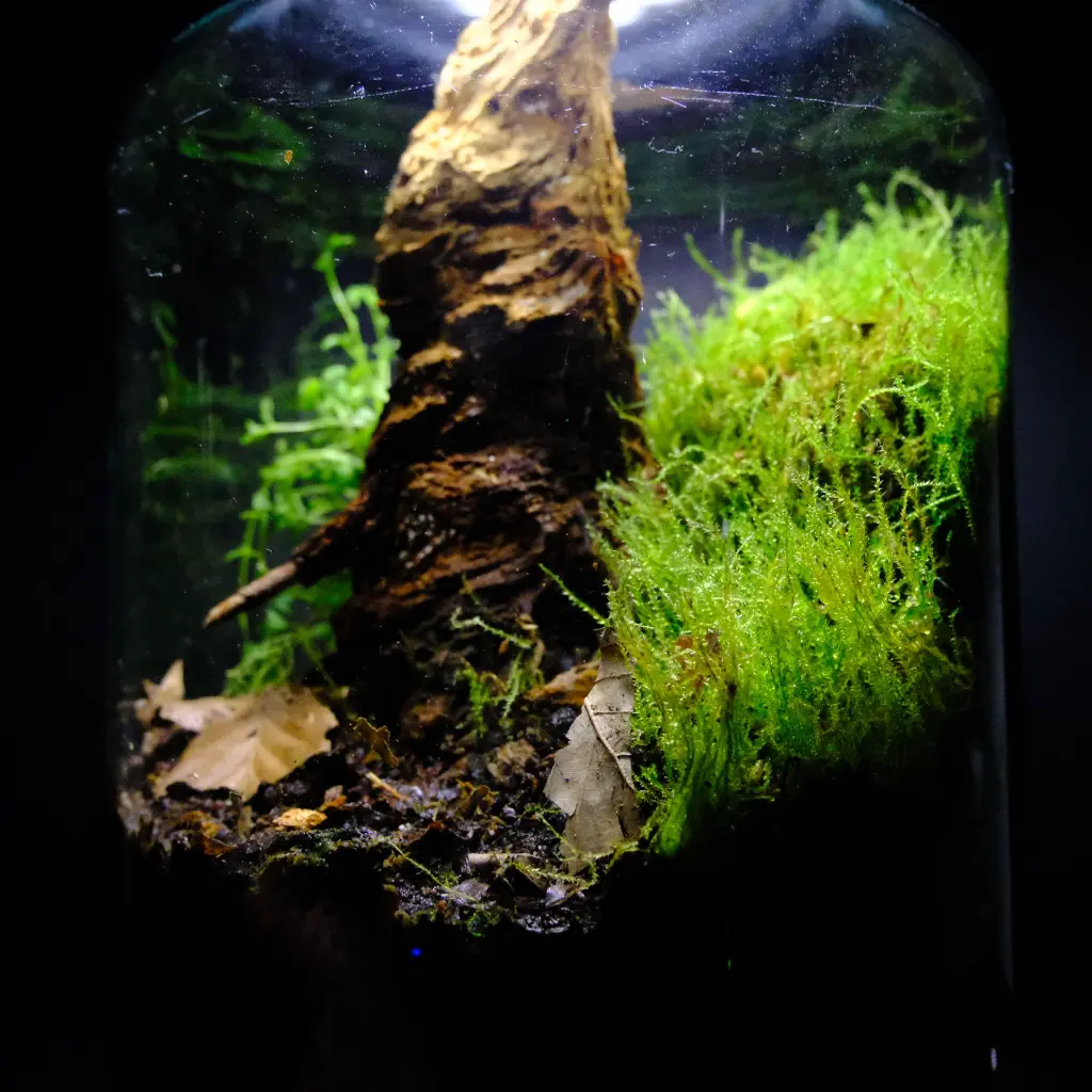 DSCF0756.webp