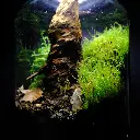 DSCF0756.webp
