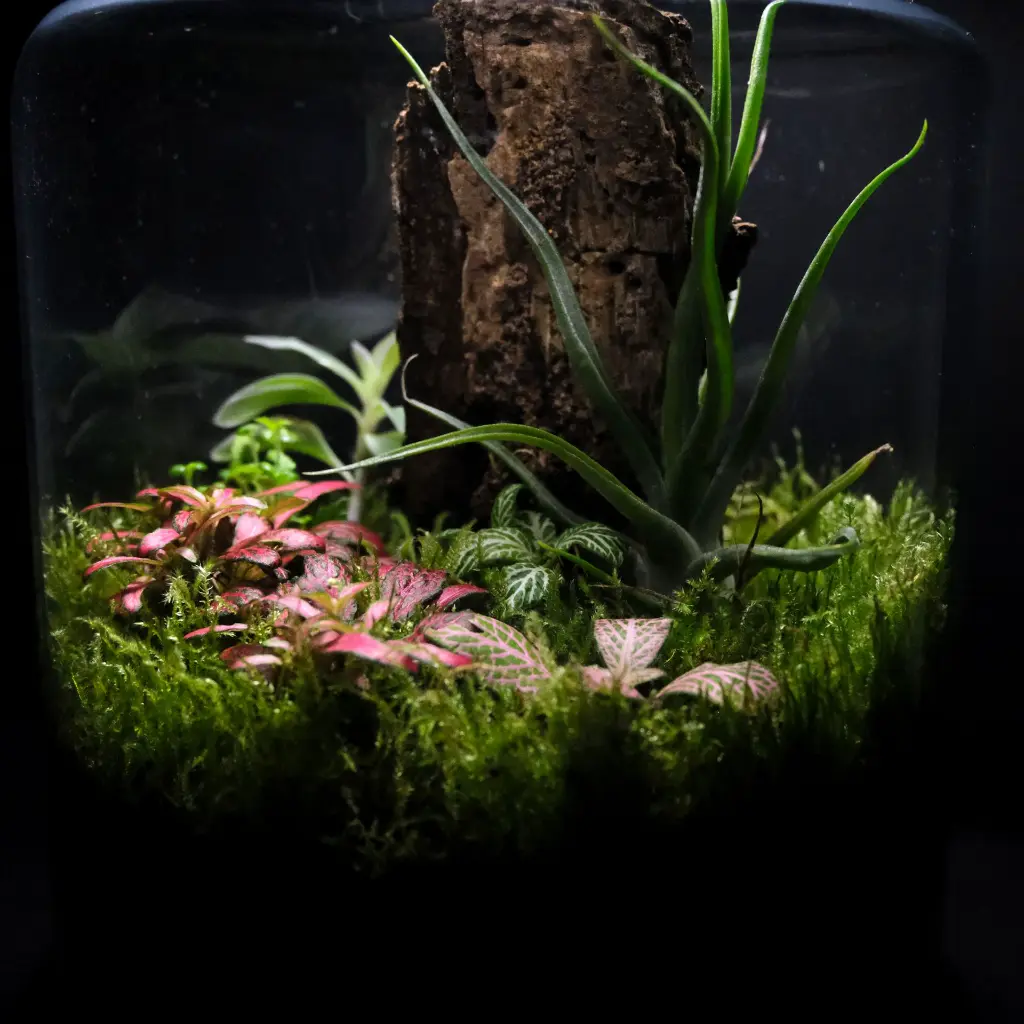 DSCF1256.webp