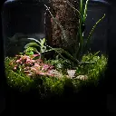 DSCF1256.webp