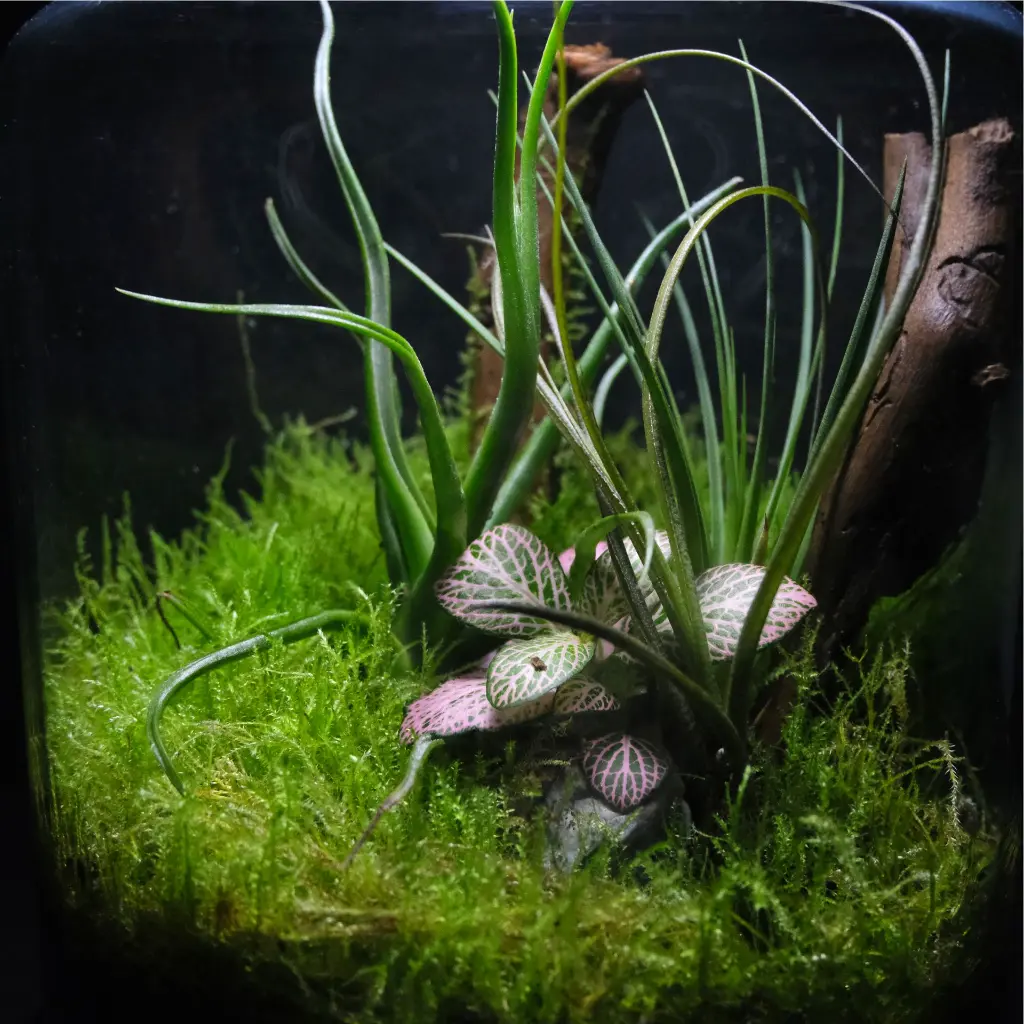 DSCF1234.webp