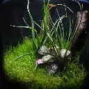 DSCF1234.webp