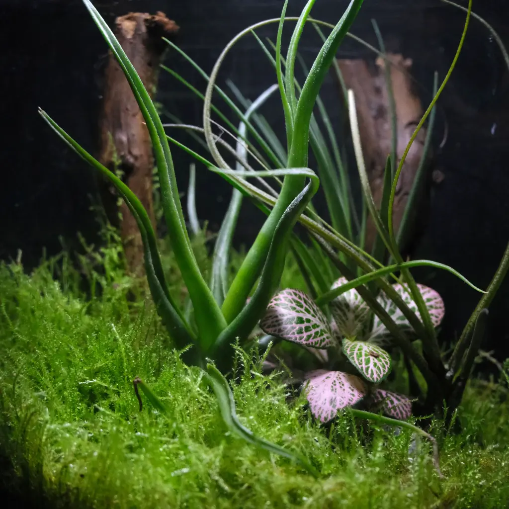 DSCF1239.webp