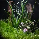 DSCF1239.webp