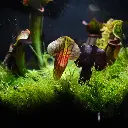 DSCF0876.webp