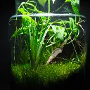 DSCF1133.webp