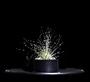 T. Argentea-min-Photoroom.webp