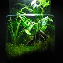 DSCF1143.webp