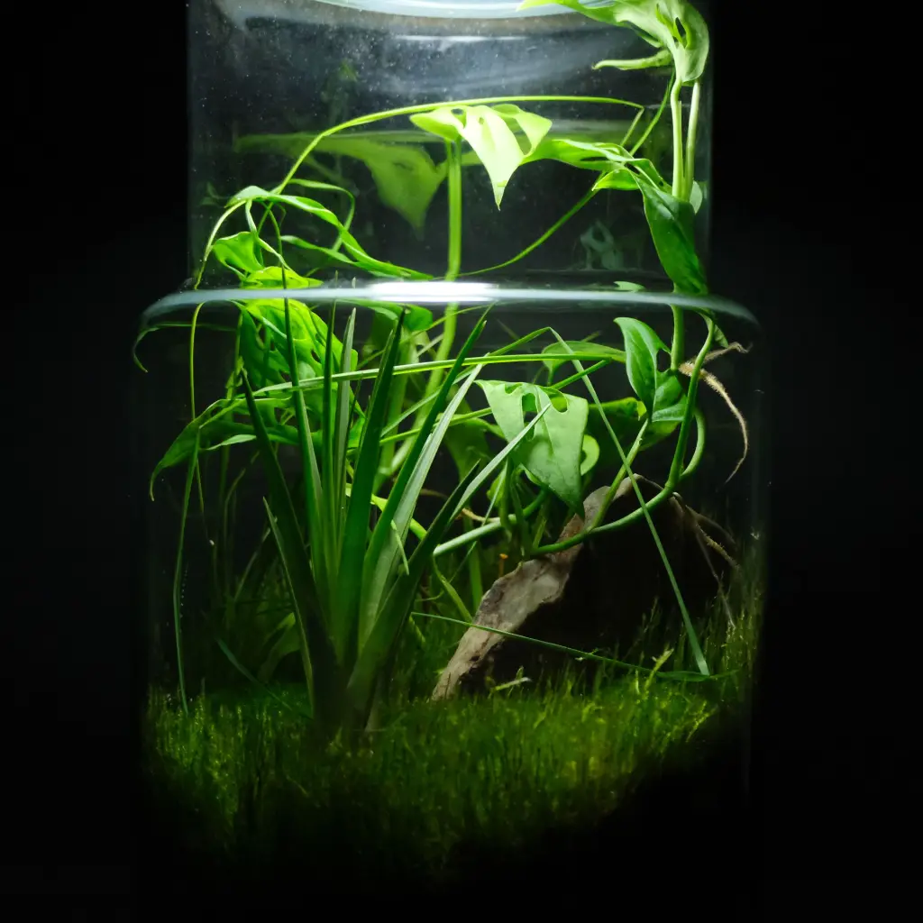 DSCF1139.webp