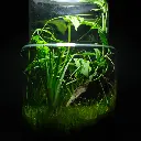 DSCF1139.webp