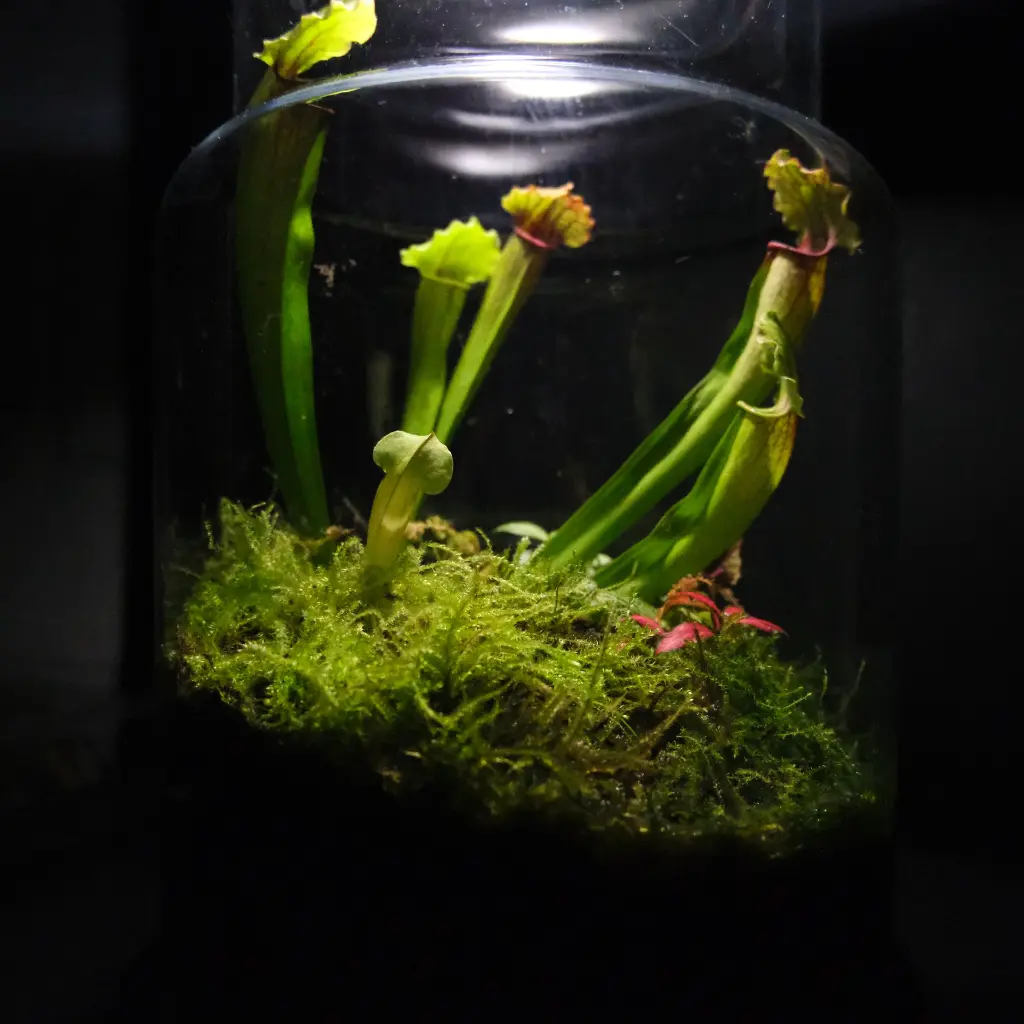 DSCF0901.webp