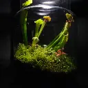 DSCF0901.webp