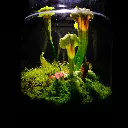 DSCF0888.webp