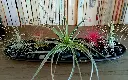 20241103_130308.webp