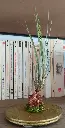 20241106_114630.webp