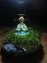 20240421_181948.webp