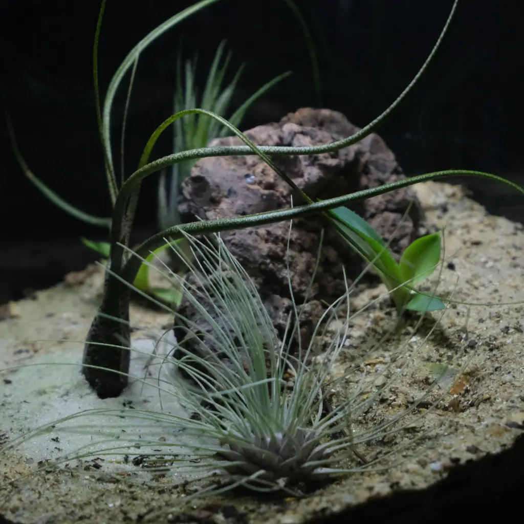 DSCF1128.webp