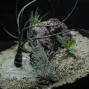 DSCF1128.webp