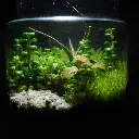 DSCF1229.webp