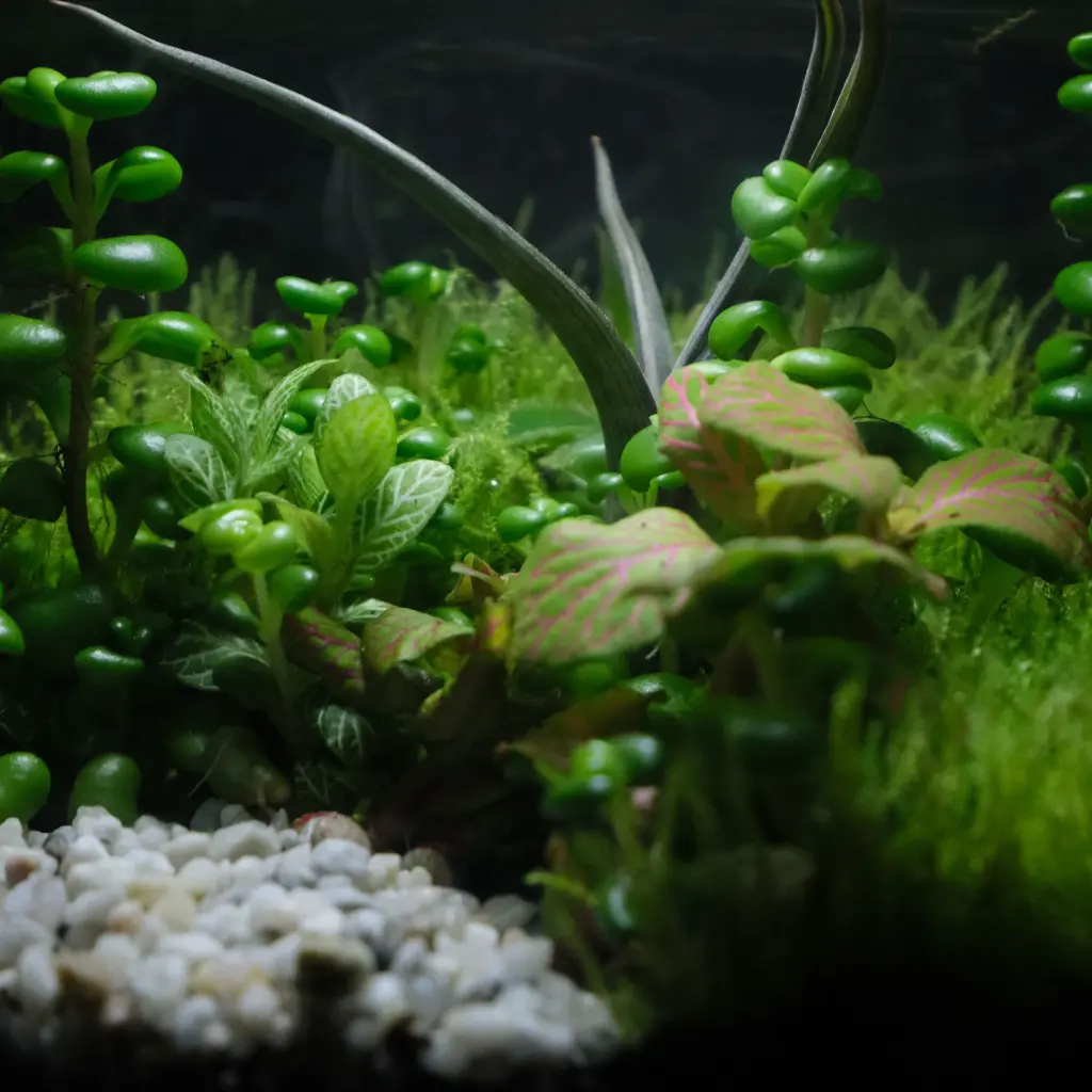 DSCF1228.webp