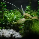 DSCF1228.webp