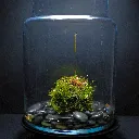 DSCF7715.webp